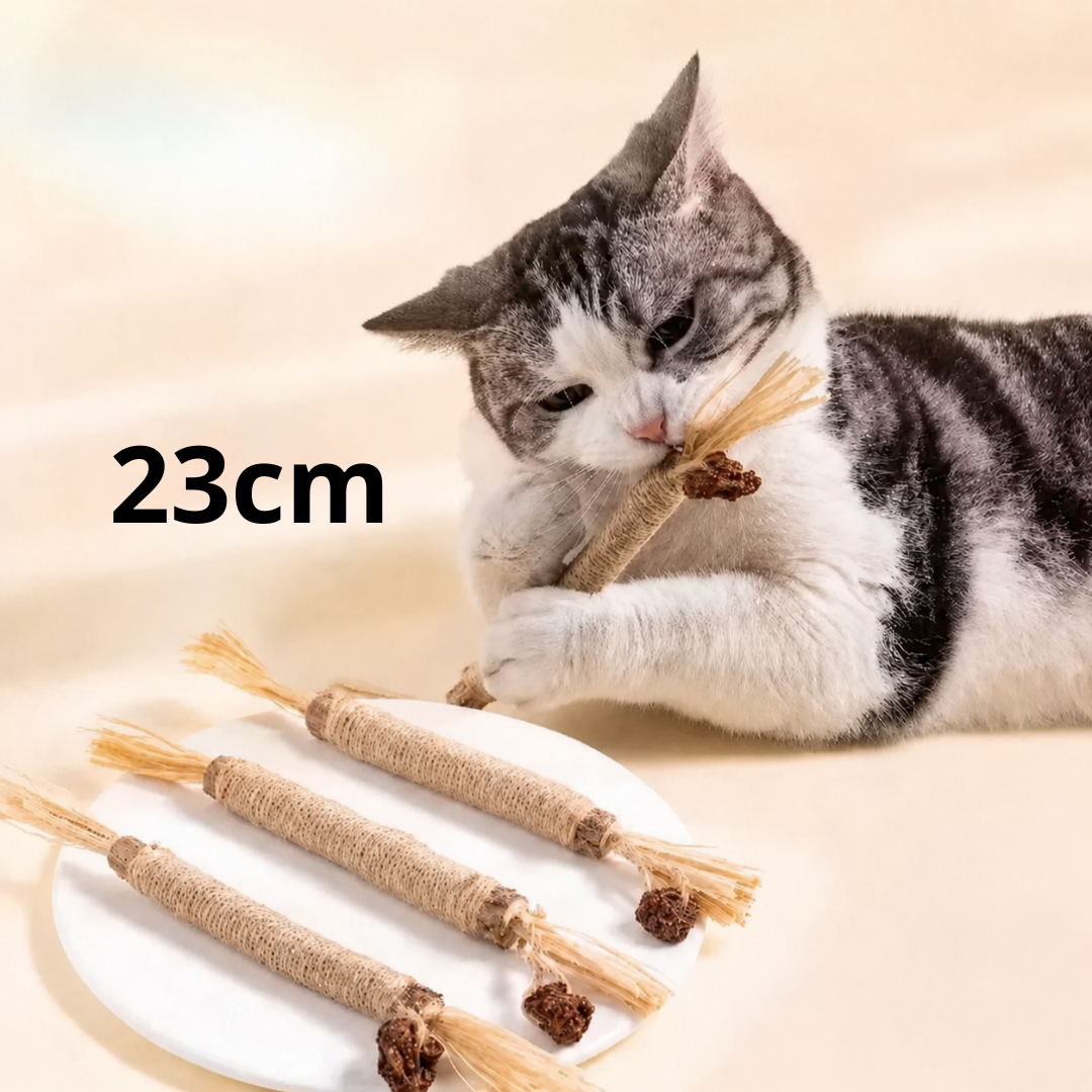 歯みがき嫌いのケアに｜猫用またたび噛むおもちゃ — 噛んで遊びながらデンタルケア
