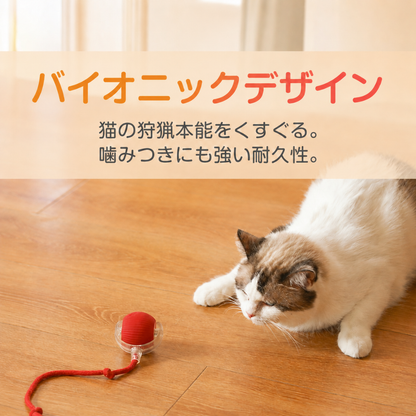 お留守番中の退屈対策｜猫用自動おもちゃ