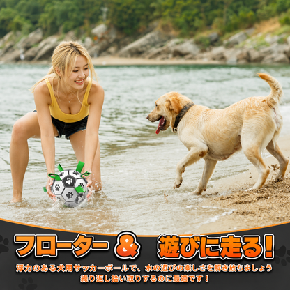 噛んで引っ張る遊びに｜犬用プルボール — 水に浮いて水遊びにも便利