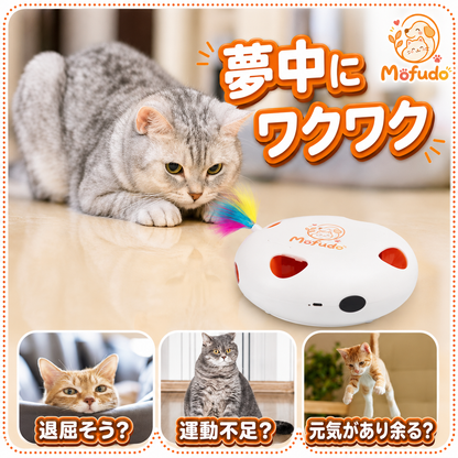 室内遊びの運動不足に｜猫用自動じゃらしおもちゃ — 羽根の動きで本能を刺激する安心設計