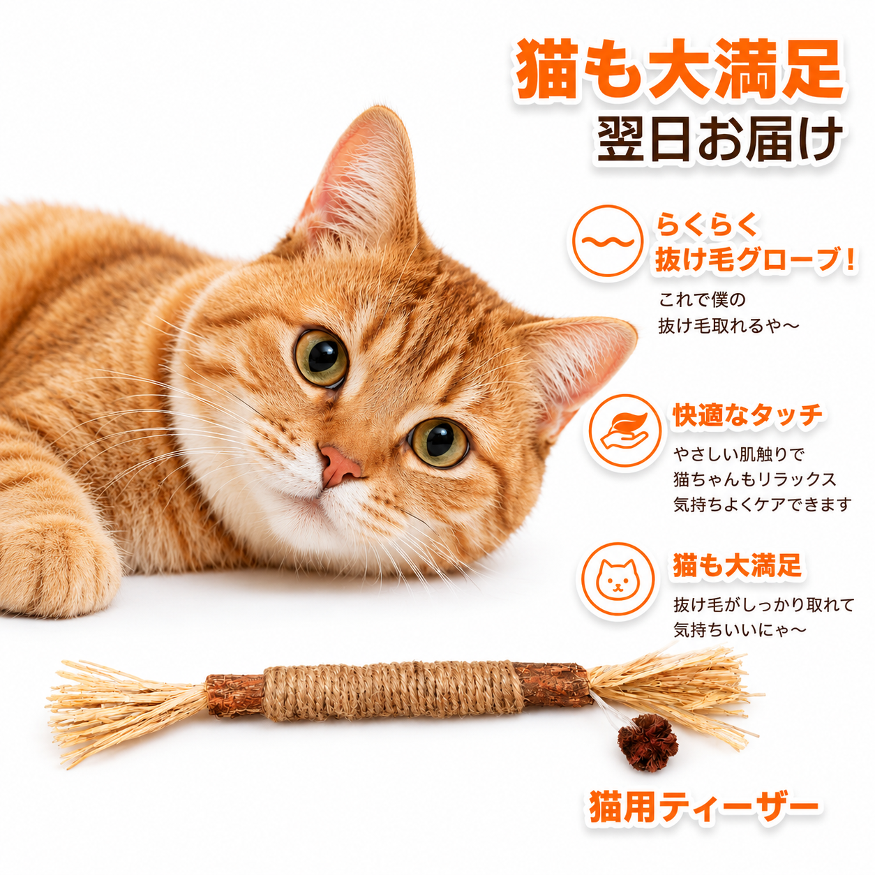 歯みがき嫌いのケアに｜猫用またたび噛むおもちゃ — 噛んで遊びながらデンタルケア