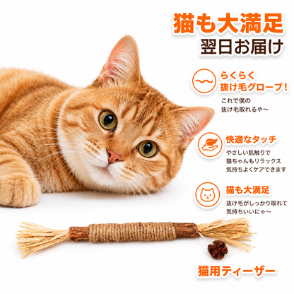 歯みがき嫌いのケアに｜猫用またたび噛むおもちゃ — 噛んで遊びながらデンタルケア