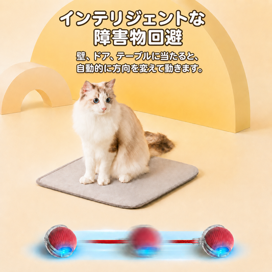 お留守番中の退屈対策｜猫用自動おもちゃ