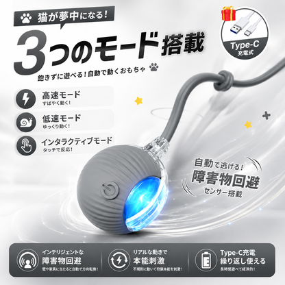 お留守番中の退屈対策｜猫用自動おもちゃ