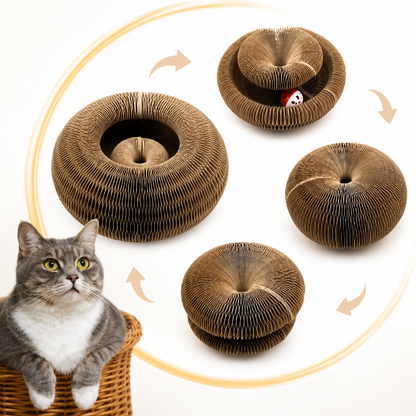 爪とぎ不足のストレス発散に｜猫用ボール付き爪とぎサークル — 壊れにくく長く遊べる丈夫な設計