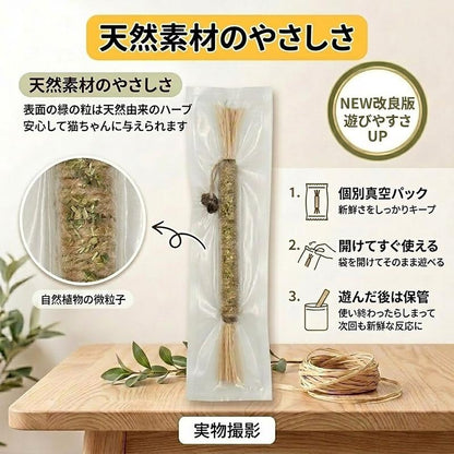 歯みがき嫌いのケアに｜猫用またたび噛むおもちゃ — 噛んで遊びながらデンタルケア