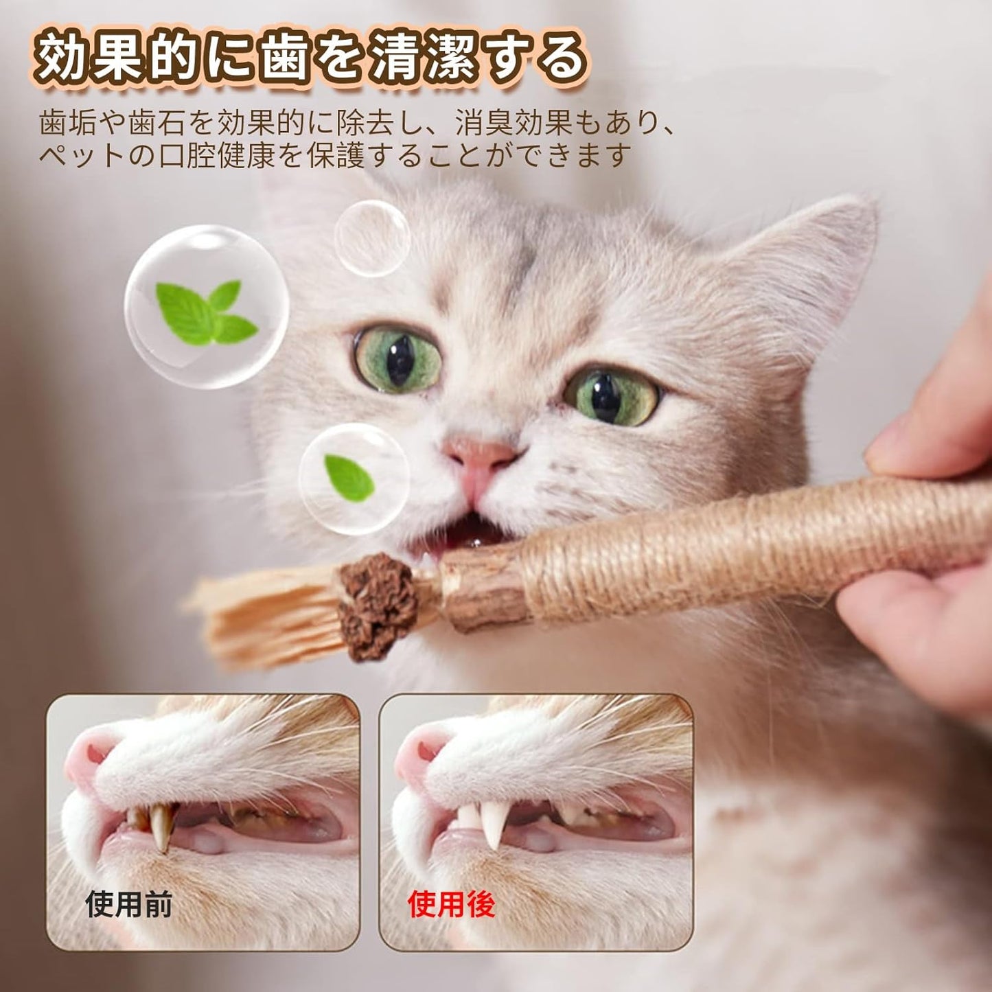 歯みがき嫌いのケアに｜猫用またたび噛むおもちゃ — 噛んで遊びながらデンタルケア